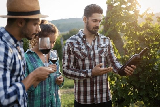 Winery_testi